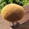 Beauty tip: Clean your makeup brushes! Beauty tip: Clean your makeup brushes!