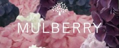 Mulberry and Marc Jacobs release short films for Spring/Summer 2011