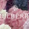 Mulberry and Marc Jacobs release short films for Spring/Summer 2011 Mulberry and Marc Jacobs release short films for Spring/Summer 2011