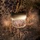 Dolce & Gabbana Makeup: Animalier Collection teaser Dolce & Gabbana Makeup: Animalier Collection teaser