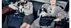 Louis Vuitton picks 6 new girls for their Autumn/Winter 2011 ad campaign